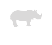 A rhino is standing in front of a green background.